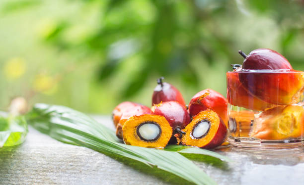 Crude Palm Oil (CPO) “Love and Hate Relationship”