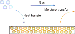 Rotary, Spray, dan Fluidized Bed Dryer